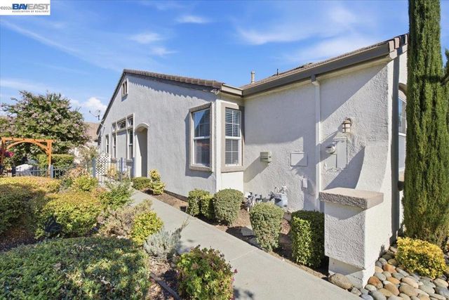 288 Black Amber Way, Brentwood, CA 94513