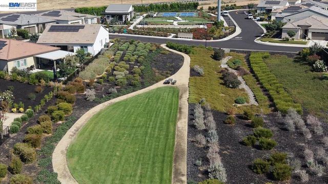 288 Black Amber Way, Brentwood, CA 94513