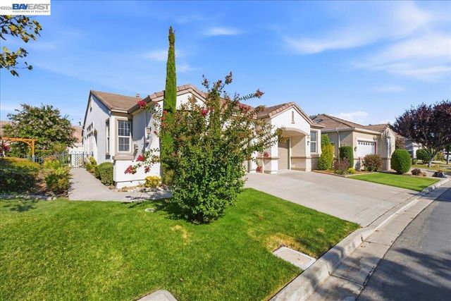 288 Black Amber Way, Brentwood, CA 94513