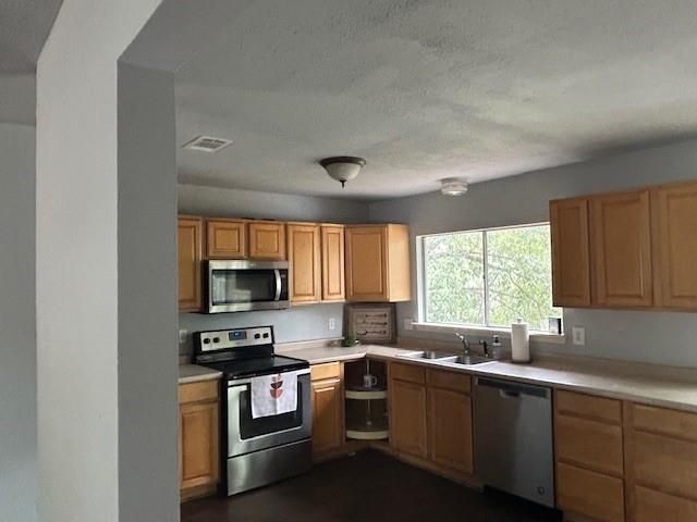 2126 Little Cedar Drive, Houston, TX 77339