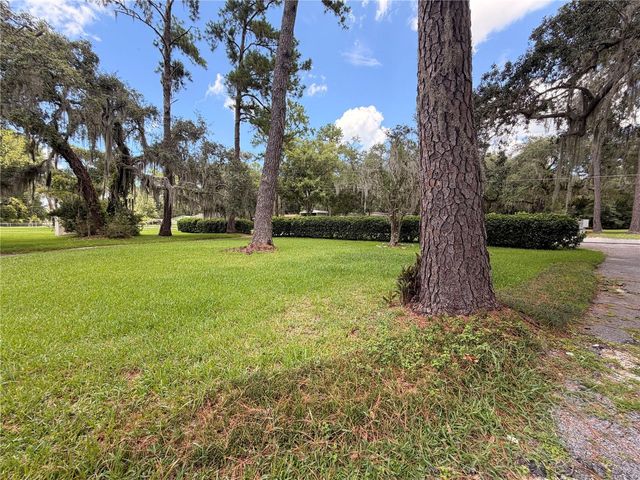 1940 ALICE DRIVE, Astor, FL 32102