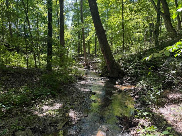 1015 Lale Point, Delaware, OH 43015