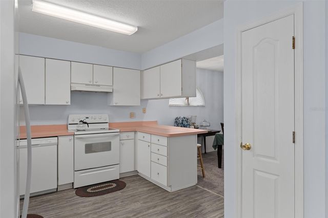 29314 PRINCEVILLE DRIVE, San Antonio, FL 33576