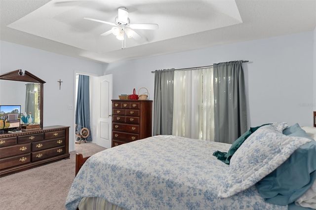 29314 PRINCEVILLE DRIVE, San Antonio, FL 33576