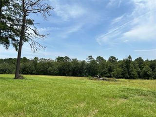 LOT 378 Madison Lake Loop, Woodville, TX 75979