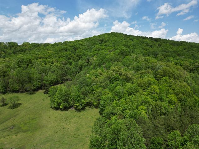 1111 Morris Lane, Heidrick, KY 40949