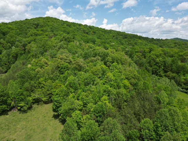 1111 Morris Lane, Heidrick, KY 40949