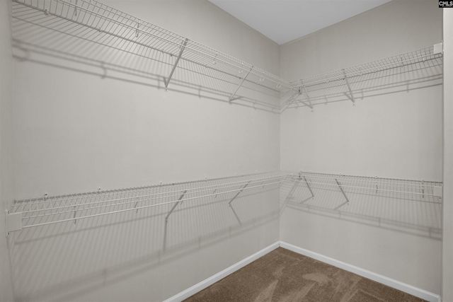 218 Wading Bird Loop, Blythewood, SC 29016