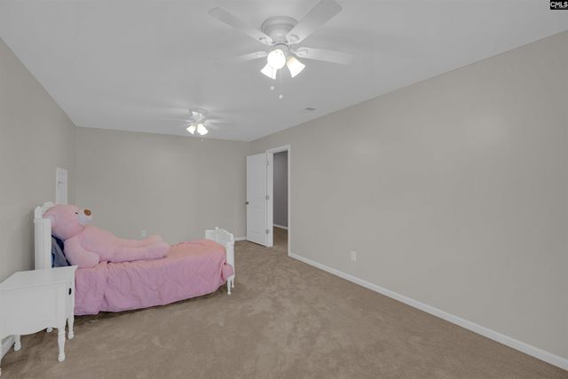 218 Wading Bird Loop, Blythewood, SC 29016