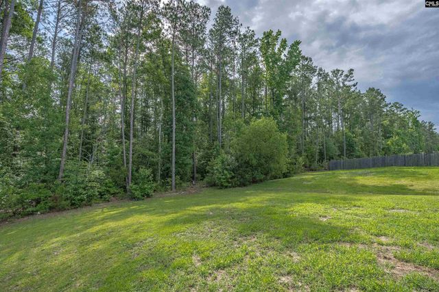 218 Wading Bird Loop, Blythewood, SC 29016