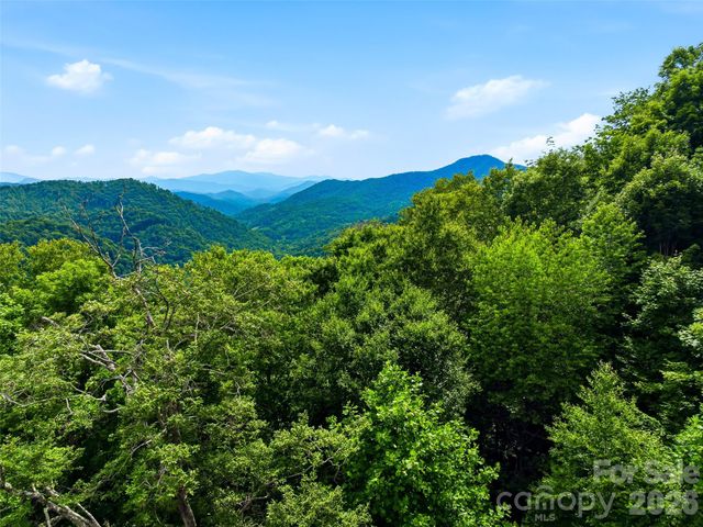 16 Mountain Gait Drive 16, Mars Hill, NC 28754