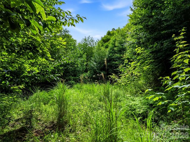 16 Mountain Gait Drive 16, Mars Hill, NC 28754