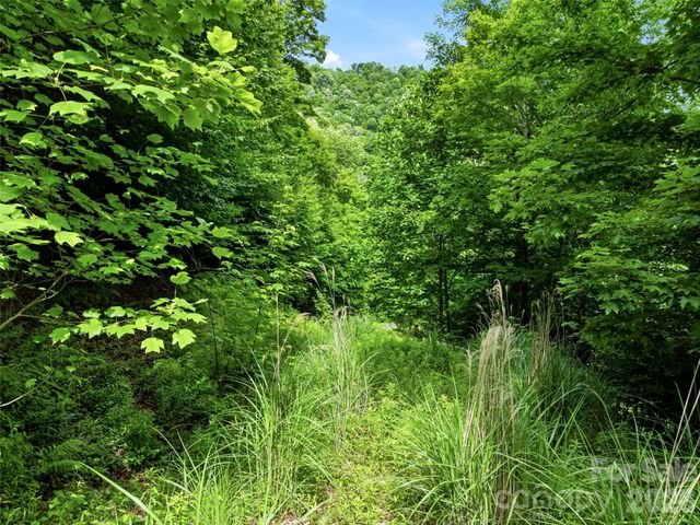 16 Mountain Gait Drive 16, Mars Hill, NC 28754