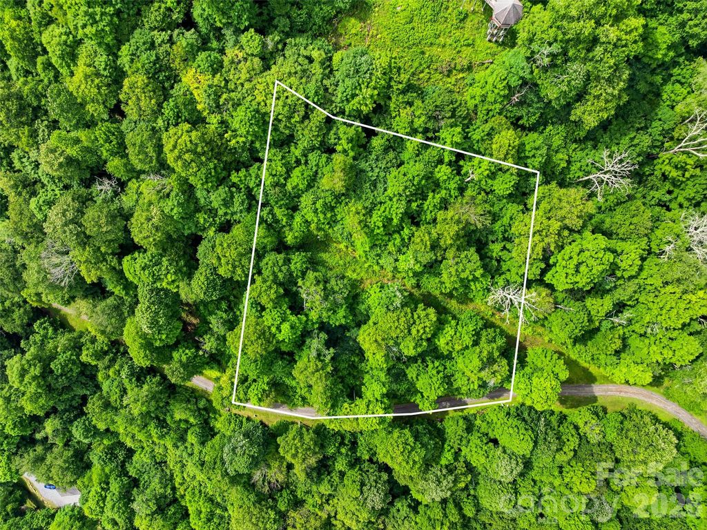 16 Mountain Gait Drive 16, Mars Hill, NC 28754