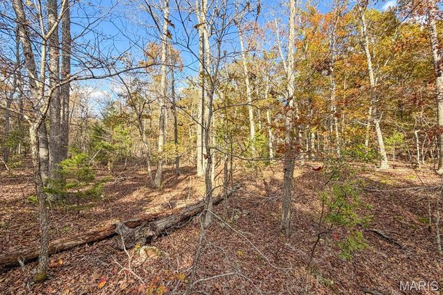 2532 County Road 2330, Salem, MO 65560