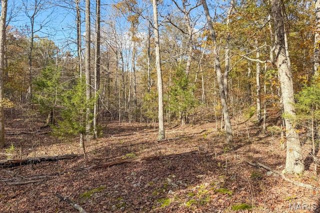 2532 County Road 2330, Salem, MO 65560