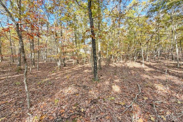 2532 County Road 2330, Salem, MO 65560