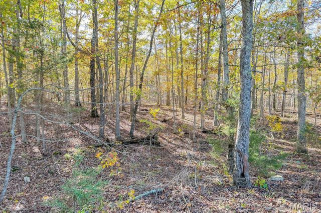 2532 County Road 2330, Salem, MO 65560