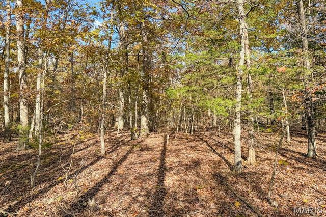 2532 County Road 2330, Salem, MO 65560