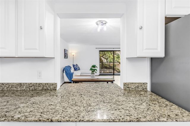 105 4TH AVENUE NE 220, St Petersburg, FL 33701