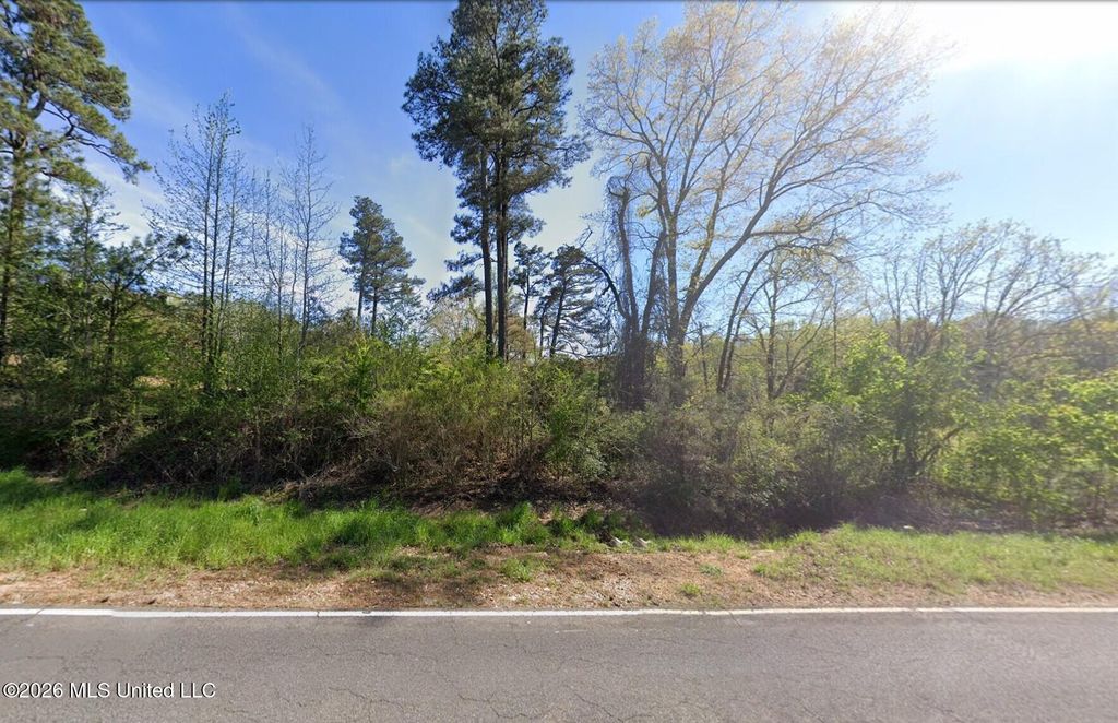 6970 Looxahoma-tyro Road, Senatobia, MS 38668 — photo 2