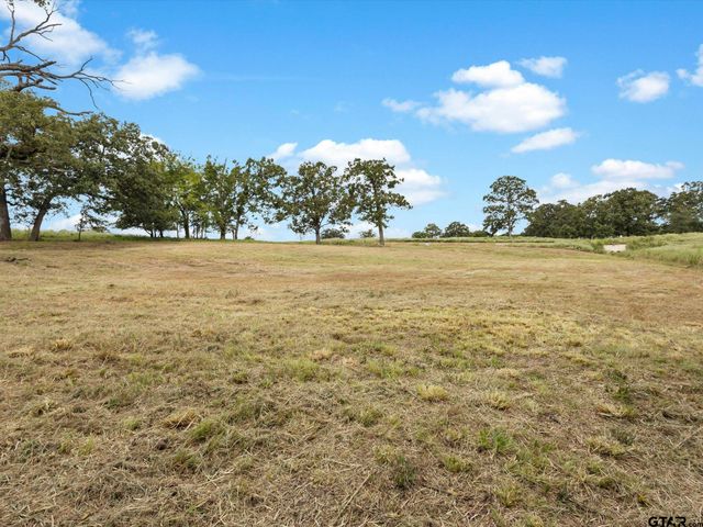 TBD Anglers Point, Emory, TX 75440