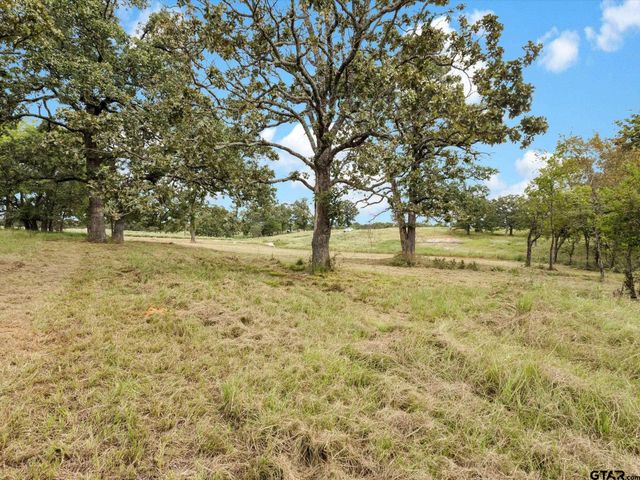 TBD Anglers Point, Emory, TX 75440