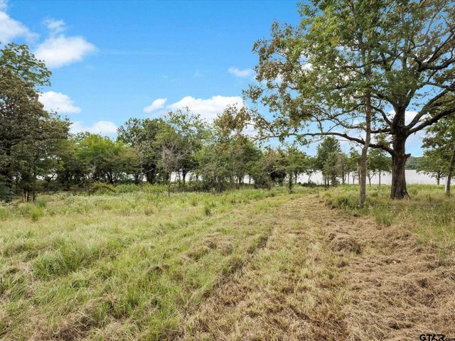 TBD Anglers Point, Emory, TX 75440