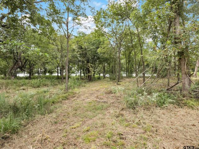 TBD Anglers Point, Emory, TX 75440