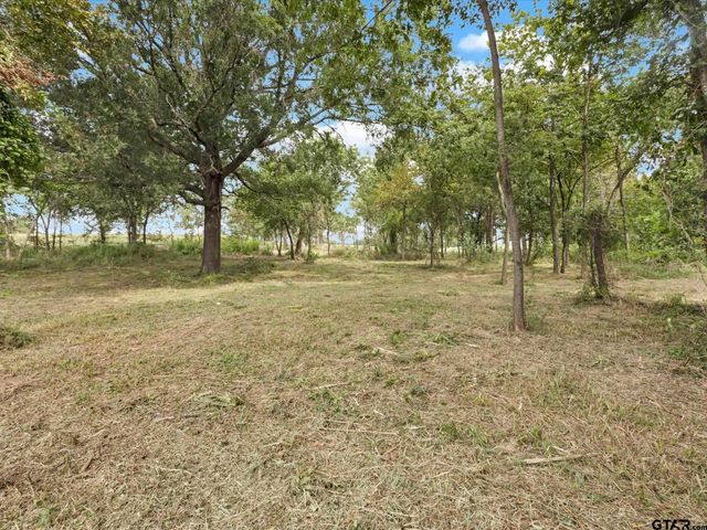 TBD Anglers Point, Emory, TX 75440