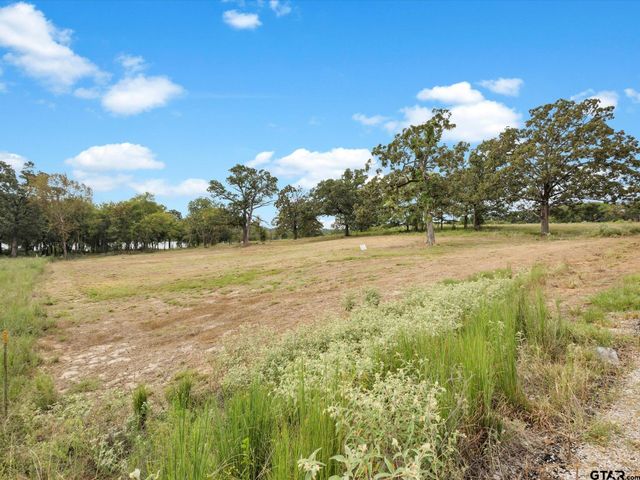 TBD Anglers Point, Emory, TX 75440
