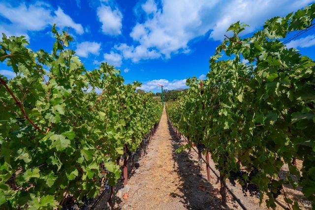 4094 E 3rd Ave, Napa, CA 94558