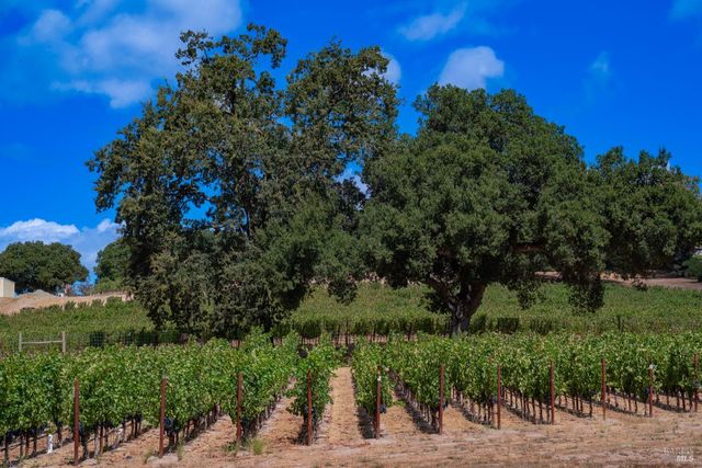 4094 E 3rd Ave, Napa, CA 94558