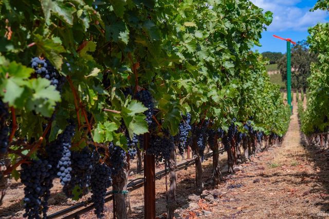 4094 E 3rd Ave, Napa, CA 94558