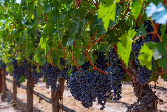 4094 E 3rd Ave, Napa, CA 94558