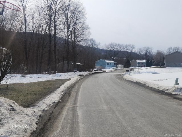 41 Holly Hill Drive, Wingdale, NY 12594