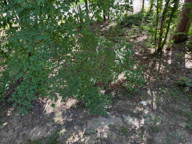 8 Cortez Lane, Hot Springs Village, AR 71909