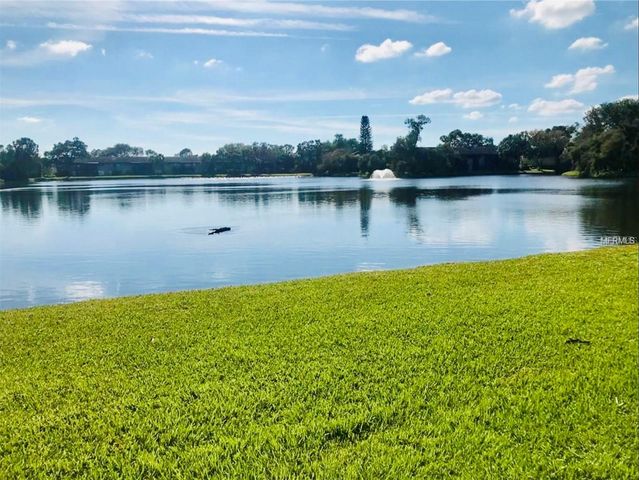 770 N VILLAGE LAKE TERRACE N 203, St Petersburg, FL 33716