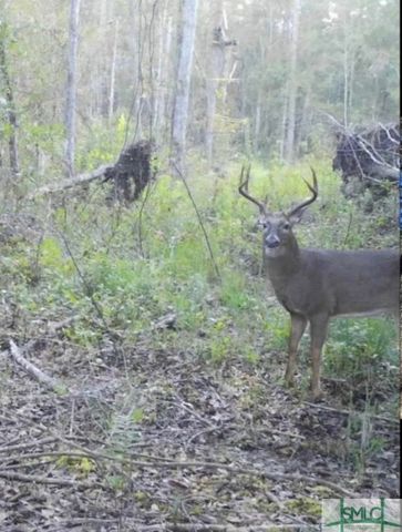 1 Rye Patch NE Road, Ludowici, GA 31316