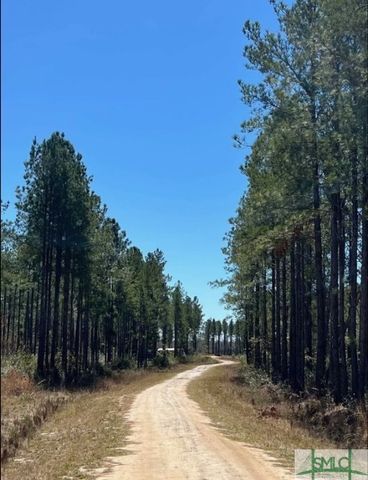 1 Rye Patch NE Road, Ludowici, GA 31316