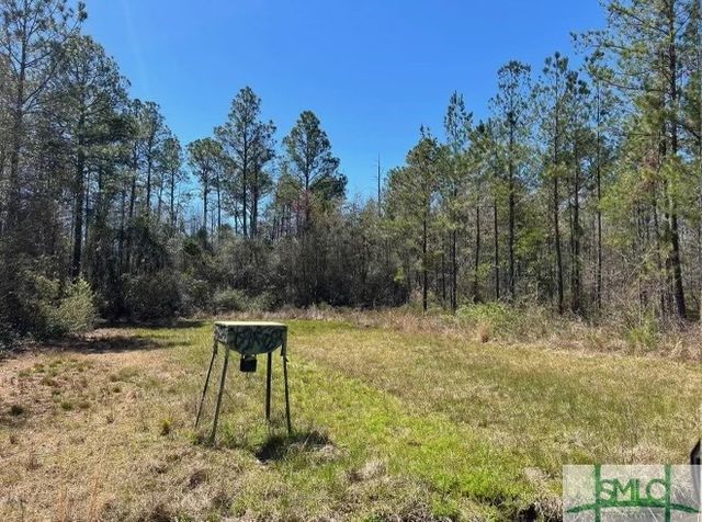 1 Rye Patch NE Road, Ludowici, GA 31316