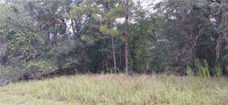 1623 E Ivydale Drive, Dunnellon, FL 34434
