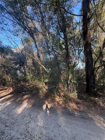 SW 148TH CT 32ND PLACE, Ocala, FL 34481