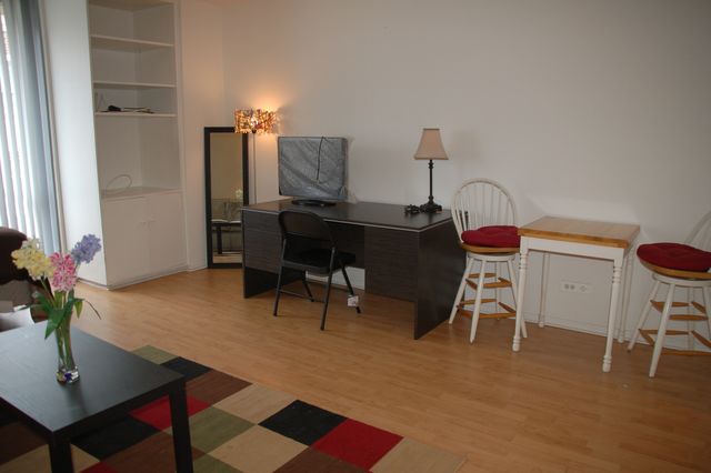 21 W Goethe Street 17C, Chicago, IL 60610