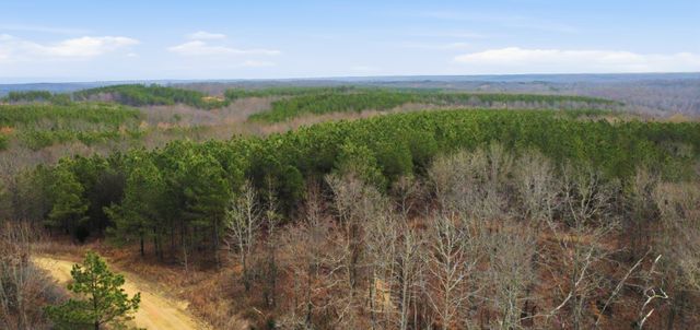 0 Highway 232, Dover, TN 37058