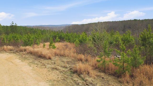 0 Highway 232, Dover, TN 37058