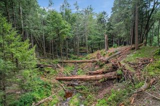 Tannery Road, Forestburgh, NY 12777