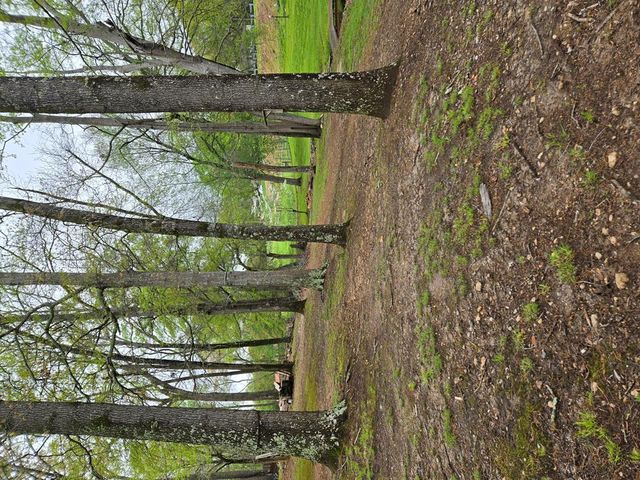 4620 Oak Grove Circle, Cumming, GA 30028