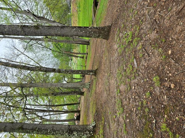 4620 Oak Grove Circle, Cumming, GA 30028