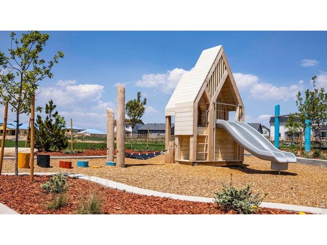 824 Trumpet Ln, Windsor, CO 80550